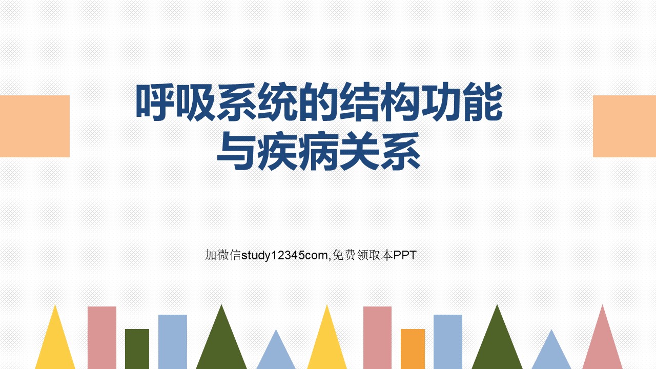 呼吸系统的结构功能与疾病关系