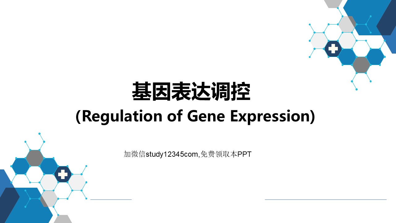 基因表达调控PPT