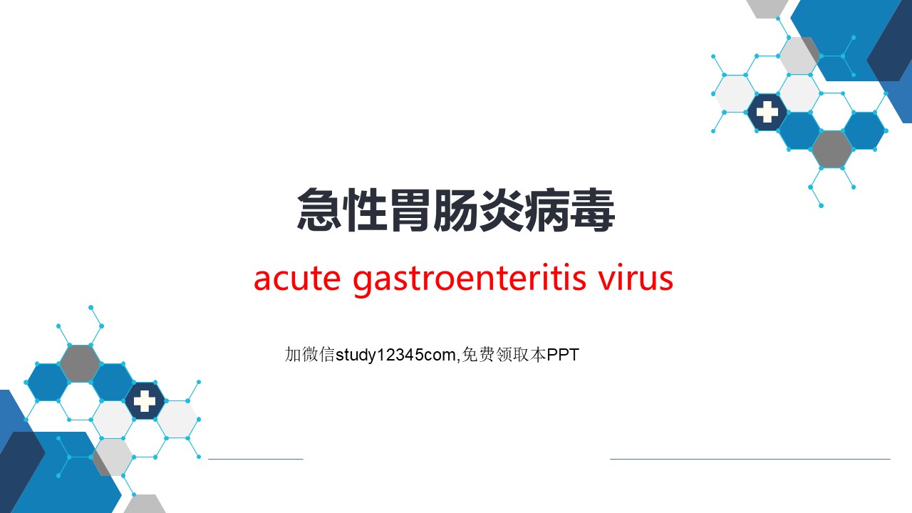 急性胃肠炎病毒PPT