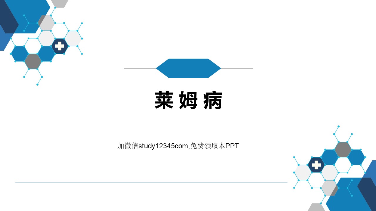 莱姆病PPT