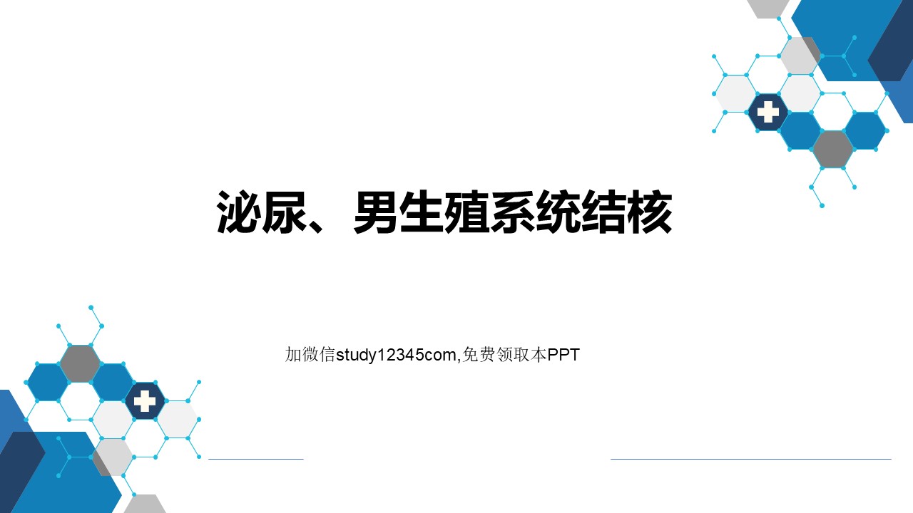 泌尿、男生殖系统结核PPT
