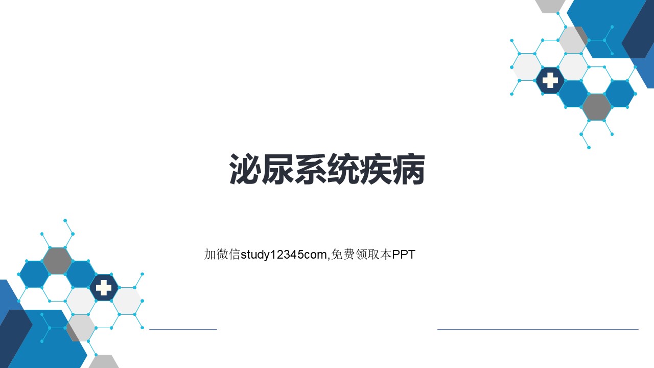 泌尿系统疾病2PPT
