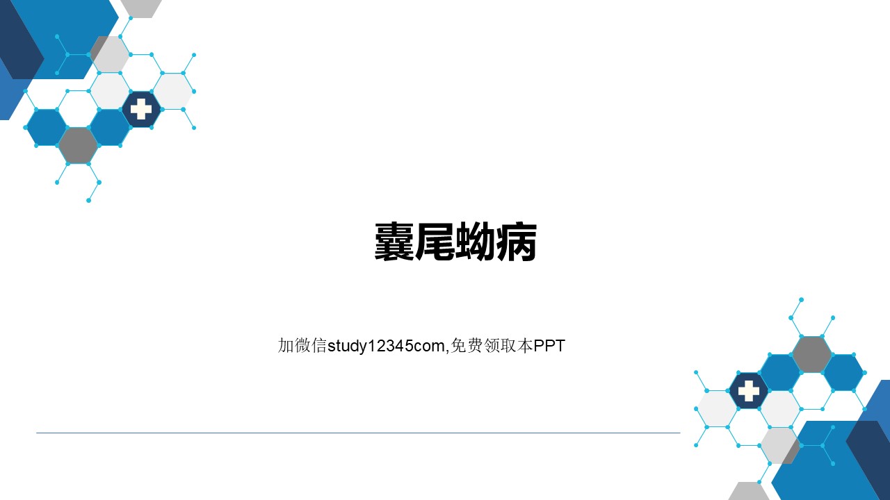 囊尾蚴病PPT