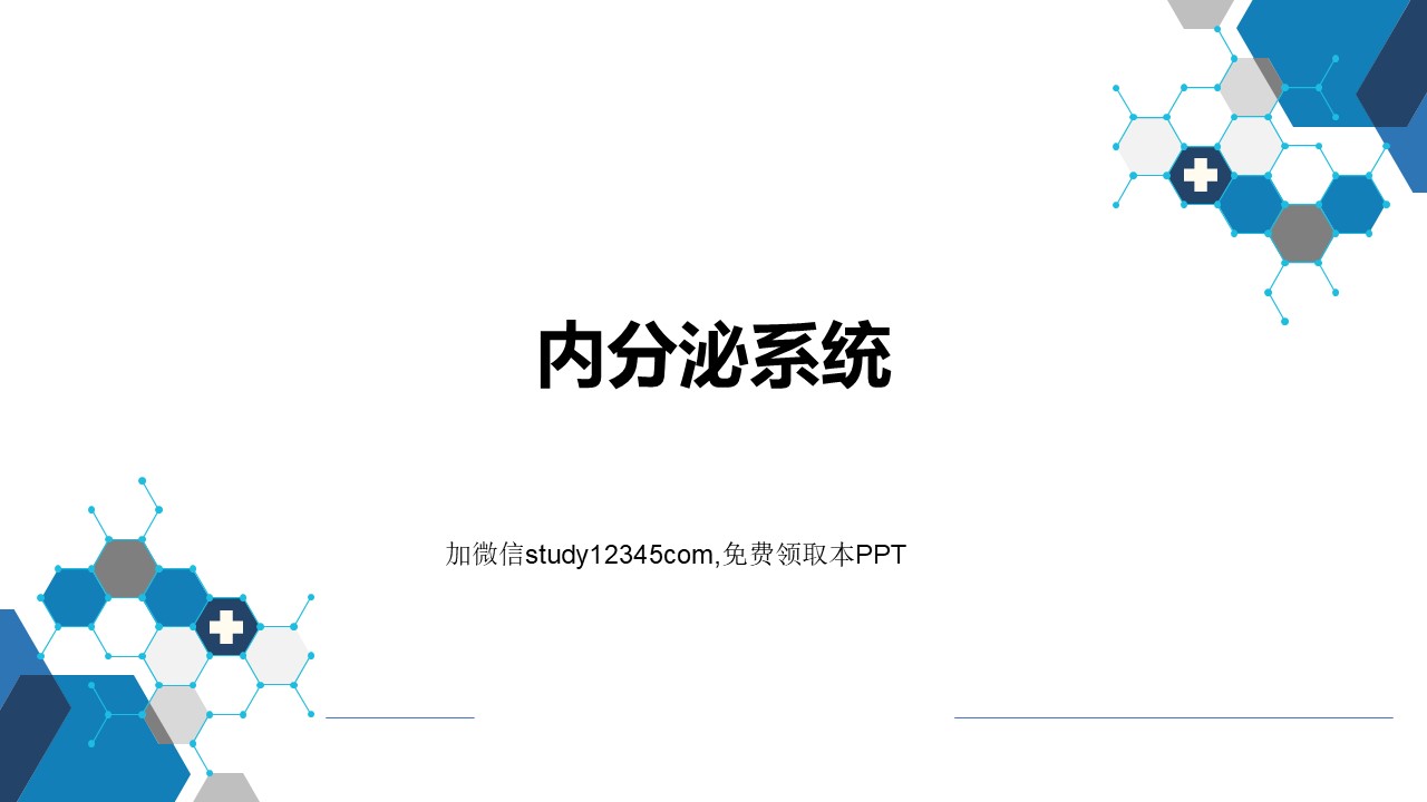 内分泌系统PPT