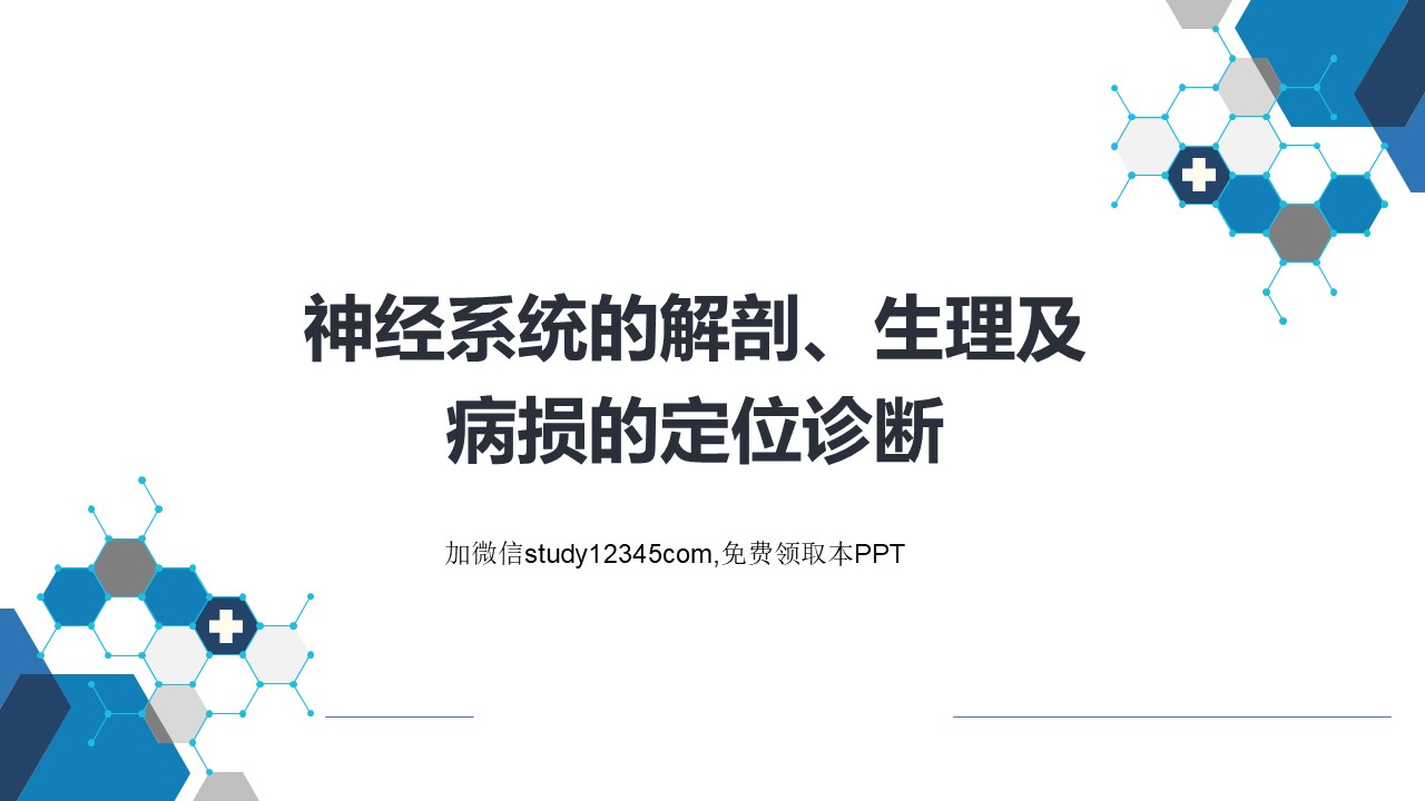 神经系统的解剖、生理及病损的定位诊断（2）