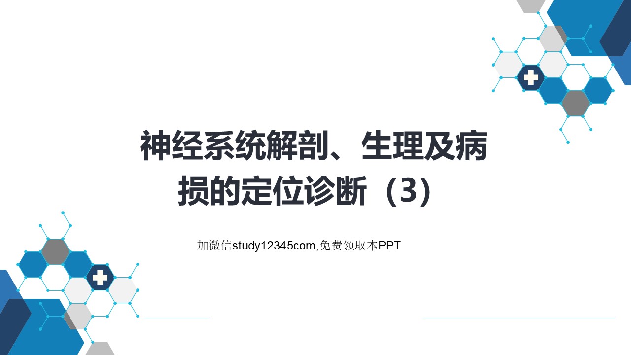 神经系统的解剖、生理及病损的定位诊断（3）