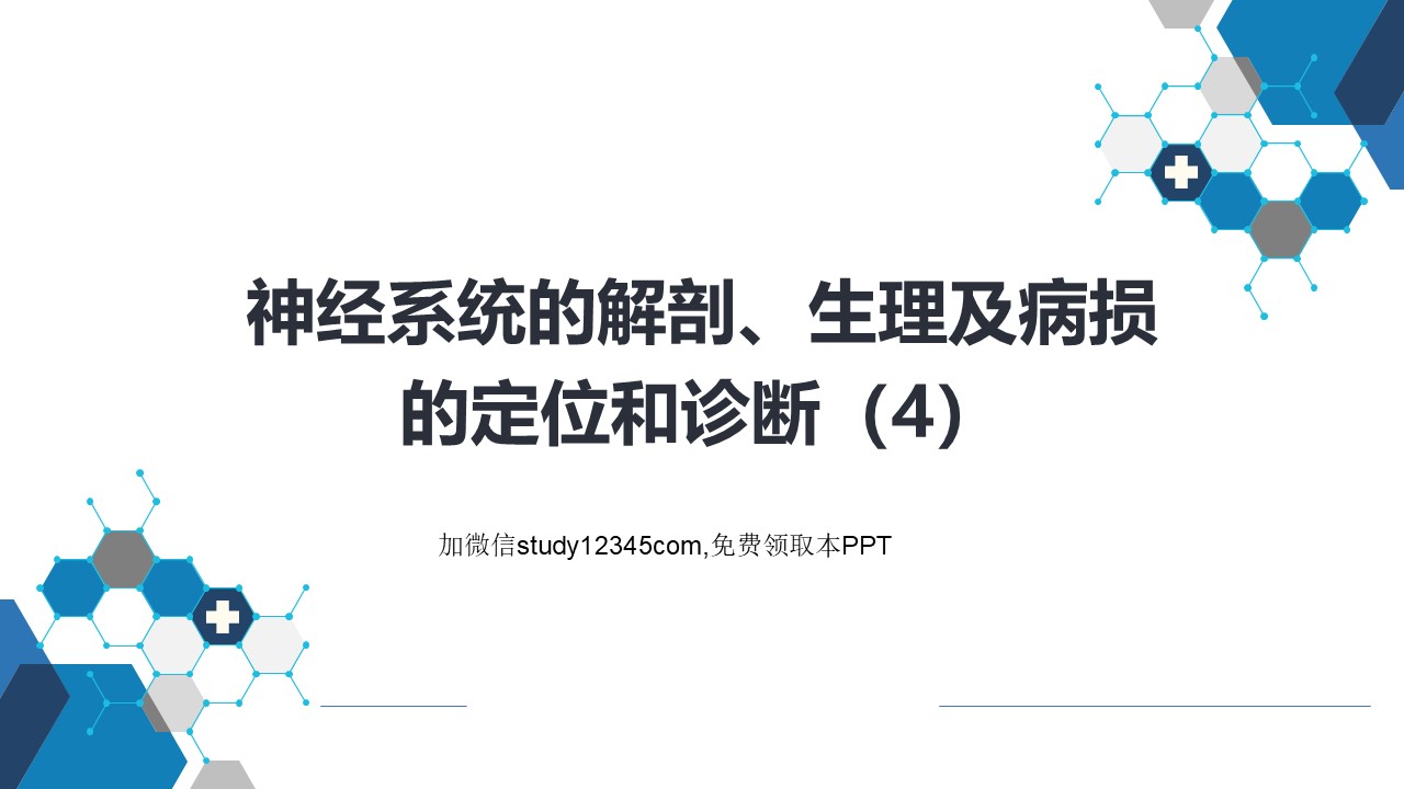 神经系统的解剖、生理及病损的定位诊断（4）