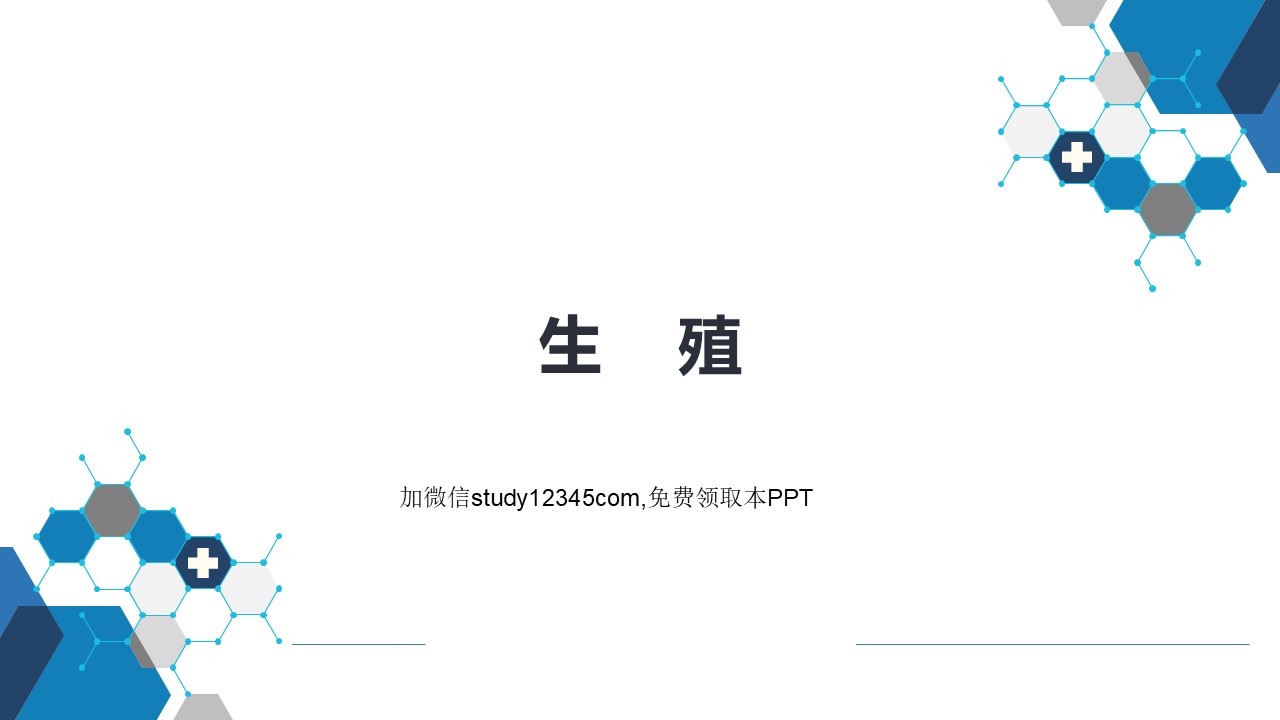 生殖PPT