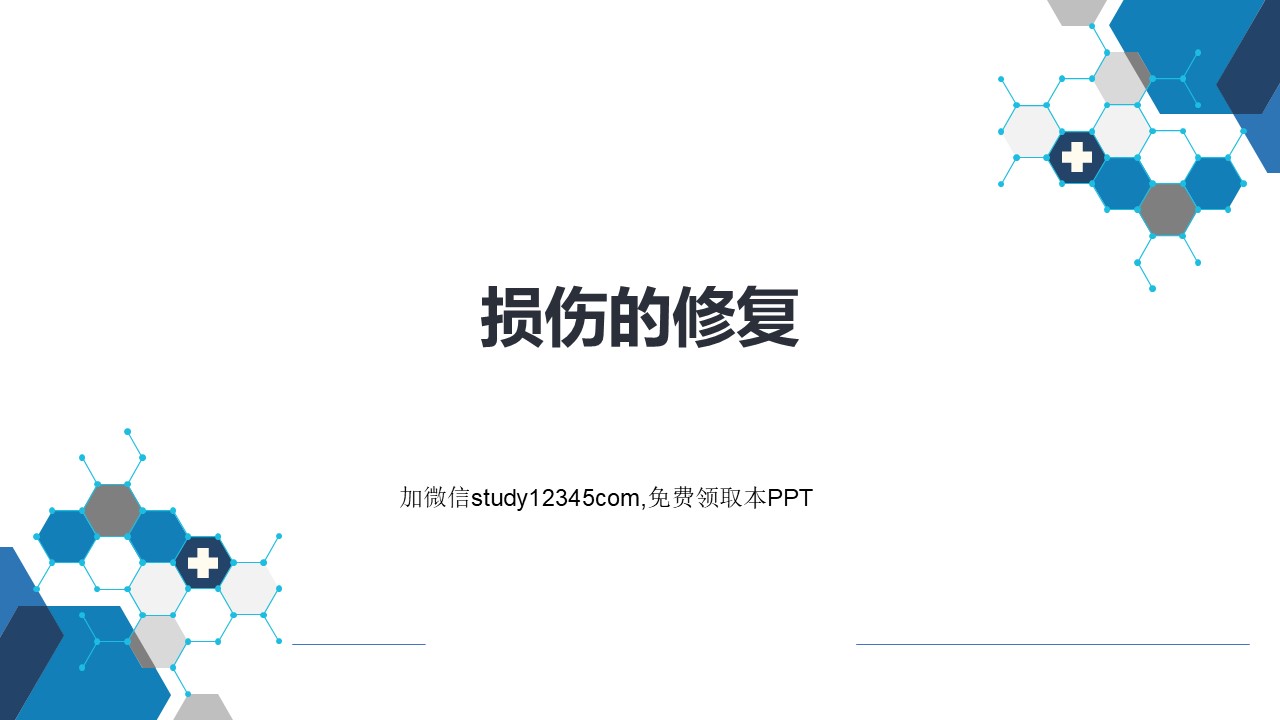 损伤的修复PPT