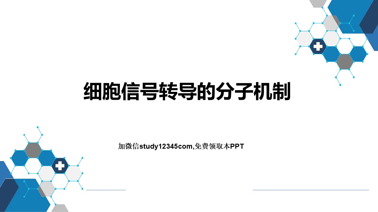 细胞信号转导的分子机制PPT