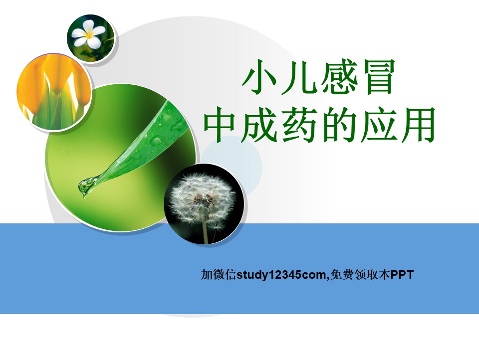 小儿感冒中成药的应用PPT