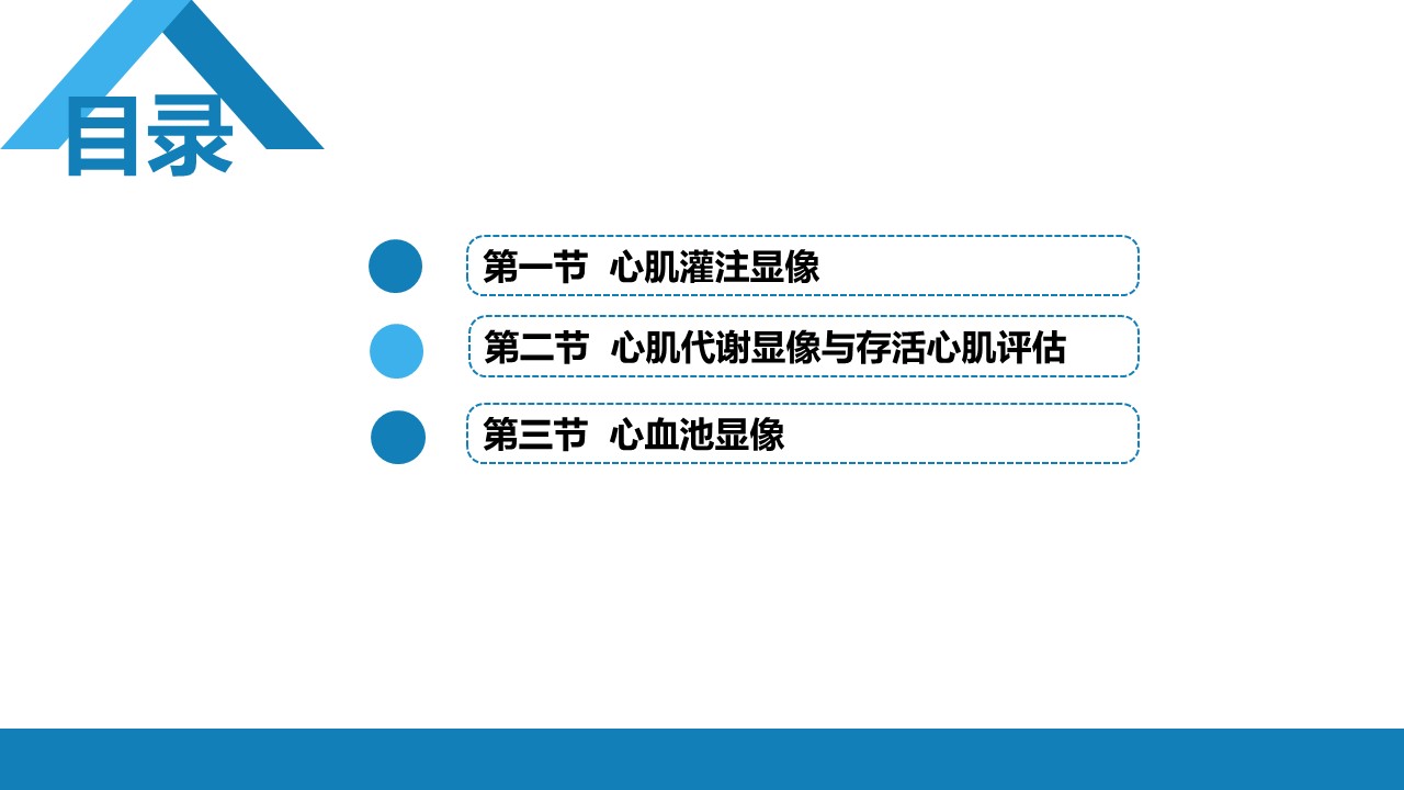 心血管系统PPT