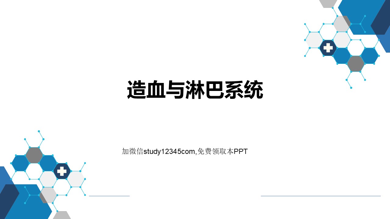 造血与淋巴系统PPT