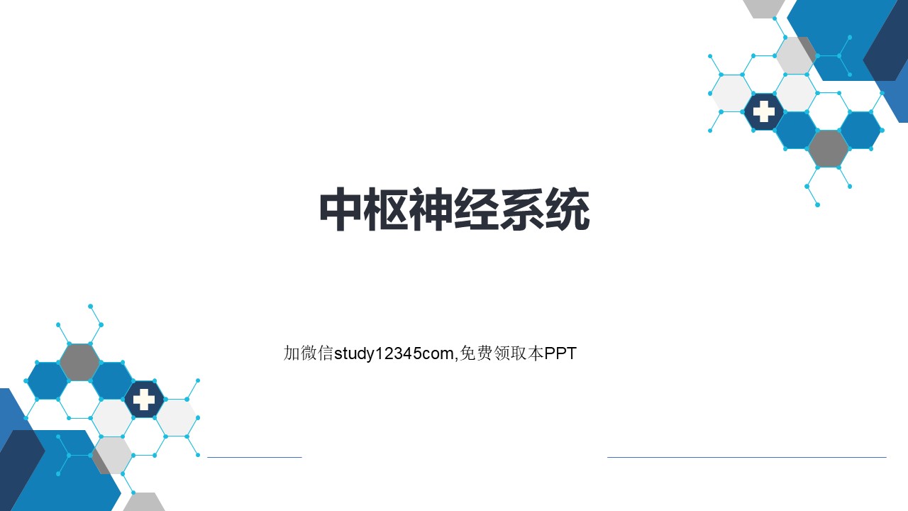 中枢神经系统PPT